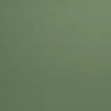 Muestra de color: RAL 6011 Verde reseda