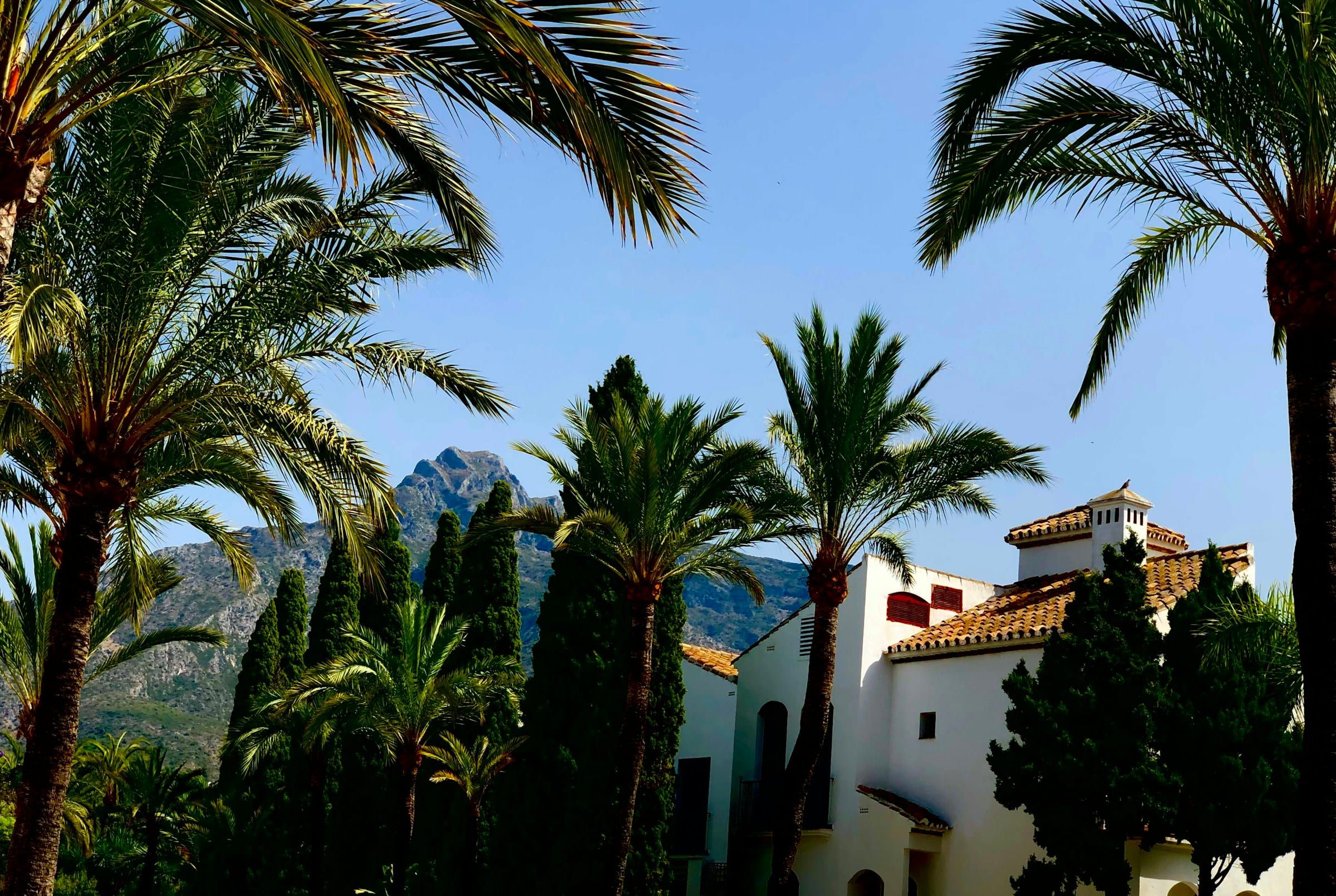 White Andalusian house among tall palm trees under a deep blue sky in Marbella